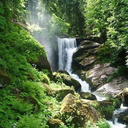 Rita - Atemberaubenden Wasserfaelle Triberg im Schwarzwald Exteriör bild