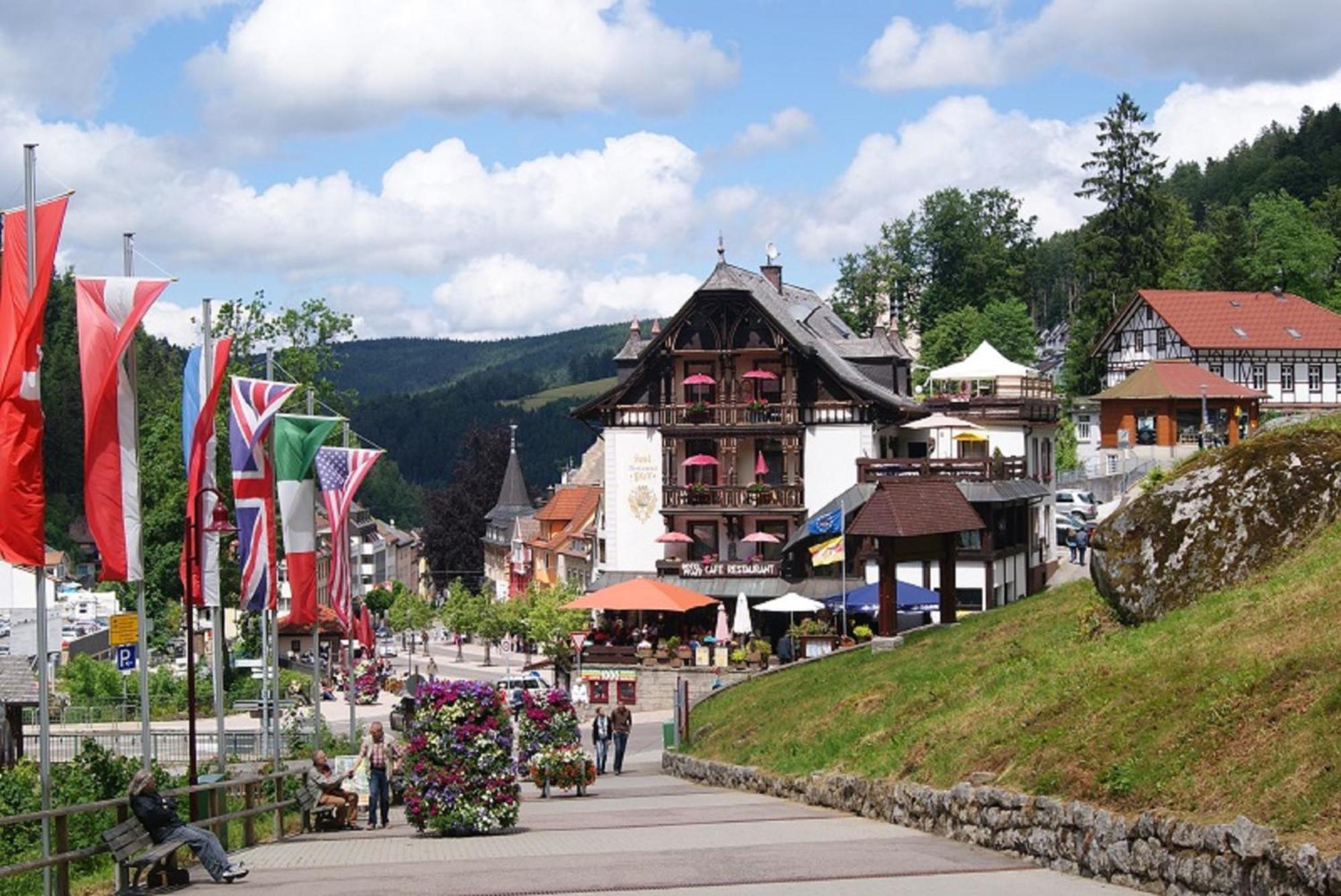 Rita - Atemberaubenden Wasserfaelle Triberg im Schwarzwald Exteriör bild