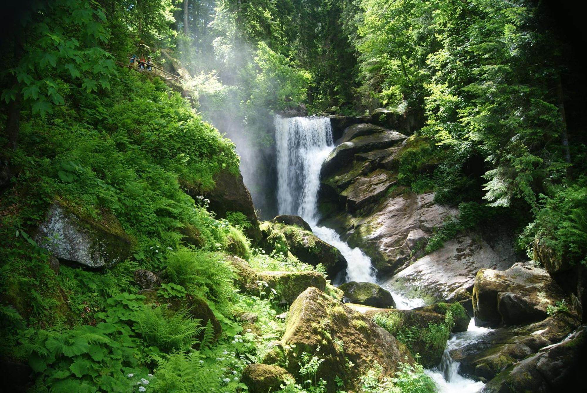 Rita - Atemberaubenden Wasserfaelle Triberg im Schwarzwald Exteriör bild
